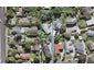 6 Castleton Street, Birkdale, Auckland - Carousel 1