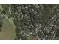 45 Bay Road, Ostend, Waiheke Island - Carousel 1