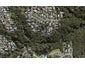 39 Tui Glen Road, Birkenhead, Auckland - Carousel 1