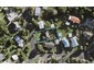 32 Laburnum Road, New Windsor, Auckland - Carousel 1