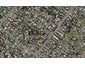 4C Trimmer Terrace, Papatoetoe, Auckland - Carousel 1