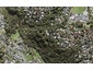 1/54 Valley View Road, Glenfield, Auckland - Carousel 1