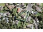 21 Hydra Place, Glen Eden, Auckland - Carousel 1