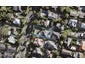 24 Seaside Avenue, Waterview, Auckland - Carousel 1