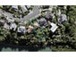 24 Sunny Brae Crescent, Westmere, Auckland - Carousel 1