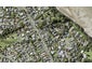 1/207 Bleakhouse Road, Mellons Bay, Auckland - Carousel 1