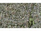 6 Trust Place, Sunnyhills, Auckland - Carousel 1