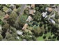 87 McCullough Avenue, Mount Roskill, Auckland - Carousel 1