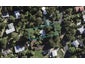25 Bay Road, Ostend, Waiheke Island - Carousel 1