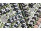 12 Vicente Place, Oteha, Auckland - Carousel 1