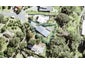 35 Jackson Crescent, Mahurangi East, Warkworth - Carousel 1