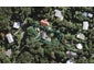 38 Glen Brook Road, Omiha, Waiheke Island - Carousel 1