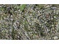 141 Methuen Road, New Windsor, Auckland - Carousel 1