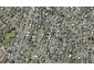 21D Borrowdace Avenue, Botany Downs, Auckland - Carousel 1