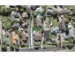 40A Tirimoana Road, Te Atatu South, Auckland - Carousel 1