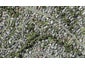 15 Hartles Place, Mellons Bay, Auckland - Carousel 1