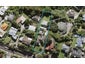 32 Hoskins Avenue, Hillsborough, Auckland - Carousel 1