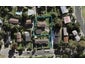 7 Jenanne Place, Totara Vale, Auckland - Carousel 1