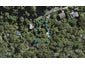 12 Frank Street, Oneroa, Waiheke Island - Carousel 1
