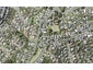 85 Knights Road, Rothesay Bay, Auckland - Carousel 1
