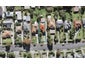 55A Arawa Street, New Lynn, Auckland - Carousel 1