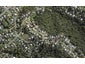 39 Marine View Road, Onetangi, Waiheke Island - Carousel 1
