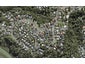 26 Pemberton Avenue, Bayview, Auckland - Carousel 1