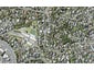 6 St Ives Terrace, Mairangi Bay, Auckland - Carousel 1