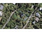 6 Lannan Road, Surfdale, Waiheke Island - Carousel 1