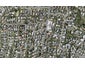 144 East Coast Road, Forrest Hill, Auckland - Carousel 1