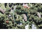 23 ATARUA Gardens, Waiatarua, Auckland - Carousel 1