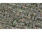 19 Rewi Road, Royal Oak, Auckland - Carousel 1
