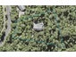 885 Scenic Drive, Henderson - Carousel 1