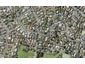 25 Sorrel Crescent, Bucklands Beach, Auckland - Carousel 1