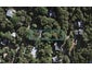 3 O'Brien Road, Omiha, Waiheke Island - Carousel 1