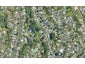 42 Pandora Avenue, Sunnybrook, Rotorua - Carousel 1
