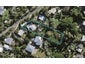 10 Tiri Road, Oneroa, Waiheke Island - Carousel 1
