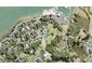 25 Kanuka Road, Sandspit, Warkworth - Carousel 1