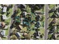 11 Nekuneku Lane, Mount Roskill, Auckland - Carousel 1