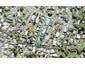 22B ZEALANDIA RD, Manly, Whangaparaoa - Carousel 1
