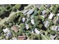 1/21 Walnut Lane, Browns Bay, Auckland - Carousel 1