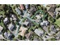 46 Westview Court, Somerville, Auckland - Carousel 1