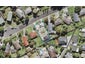 24 Temuri Place, Glendene, Auckland - Carousel 1