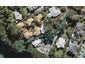 28 Clarence Road, Northcote Point, Auckland - Carousel 1