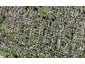 6/8 Bagnall Avenue, Point England, Auckland - Carousel 1