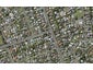 2/2 Tristram Avenue, Forrest Hill, Auckland - Carousel 1
