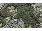 192 Greenhithe Road, Greenhithe, Auckland - Carousel 1