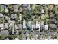 55 Third Avenue, Kingsland, Auckland - Carousel 1