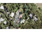 36 Opou Road, Titirangi, Auckland - Carousel 1