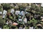 52A Empire Road, Epsom, Auckland - Carousel 1